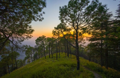 Shimla House | Hemkunj Fern by ELIVAAS