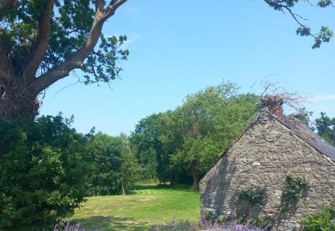 Tullaroan House | Hemma Grove - A Songbird haven