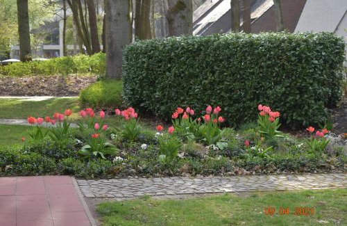 Houthalen House | Hengelhoef vakantieverblijf DEN 5