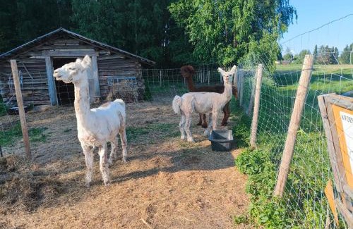 Pieksamaki House | Heponiemen tilan kesähuone