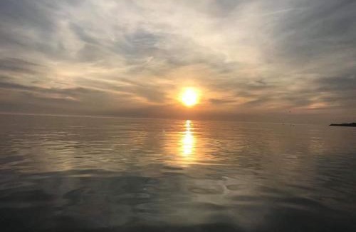 Millom House | Herdwicks