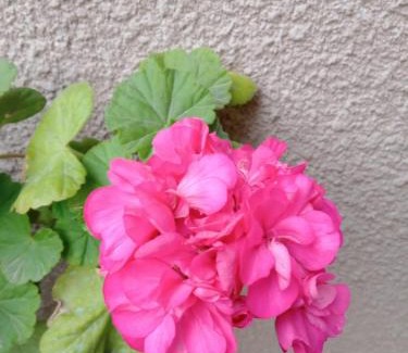 Mendoza City Center Apartment | Hermoso Departamento con Cochera y Seguridad