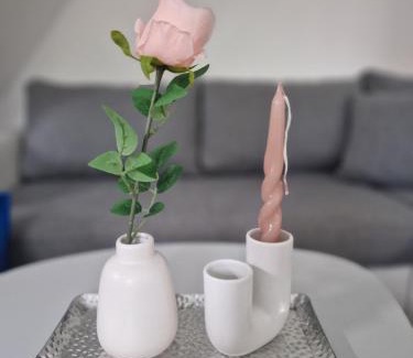 Terme Catez Ski Chalet | Hiška 111 s kopalnimi kartami