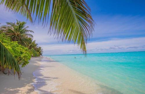 Thoddoo Hotel | Hi Heaven Thoddoo