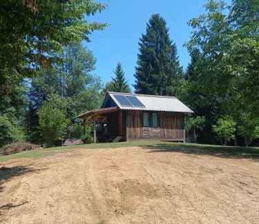 Hrib pri Hinjah Other | Hidden Cabin near Kočevje