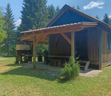Hrib pri Hinjah Other | Hidden Cabin near Kočevje