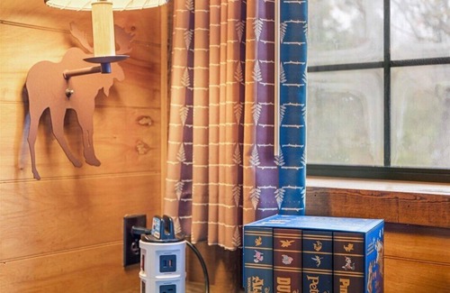 Sandy Ridge Cabin | Hidden Disney Cabin w/playground- Close to theme parks!
