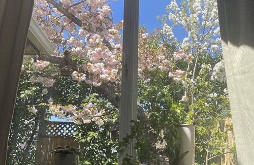 Western Cottage | Hideaway Hedge Guest Suite - 8 Min from U of O & Downtown - 20 from the airport