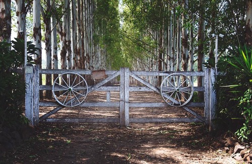 Brotas House | High Christ Corner - Privileged Nature