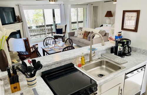 Beech Mountain Condo | Hike, Bike, Wineries! Fireplace & Level Entry!
