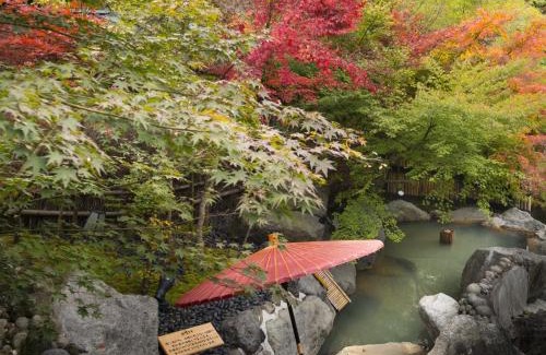 Minamioguni Hotel | Hikyou Shirakawagensen Sansou Takefue