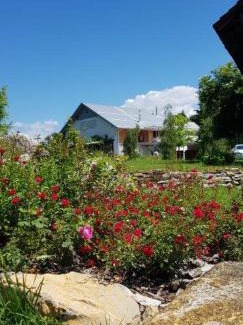 Hrastnik Apartment | Hillside Bio Resort Delux Apartments