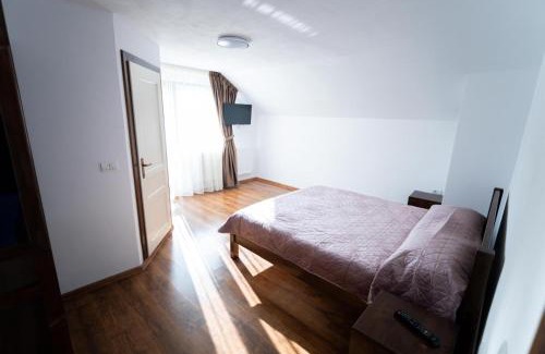 Vama Buzaului House | Hillside Chalet