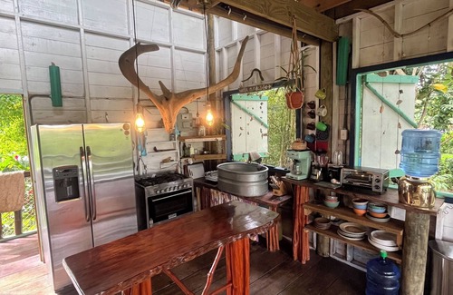 Big Creek Cabin | Hilltop Jungle Cabin with Expansive Ocean Views and Steps from The Beach
