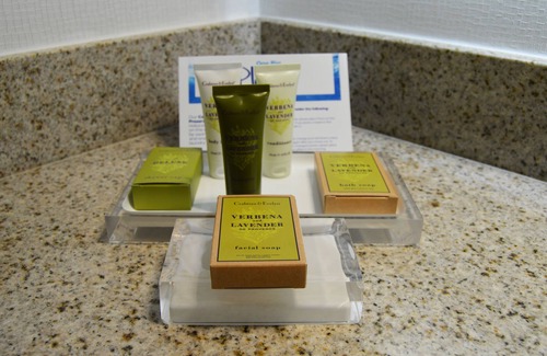 Alcoa Hotel | Hilton Knoxville Airport