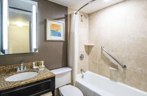 St. Petersburg Hotel | Hilton St. Petersburg Bayfront