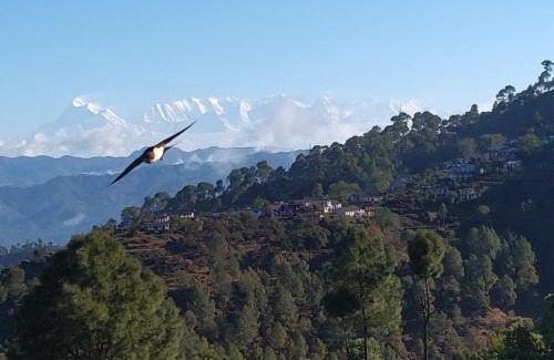 Majkhali House | Himalaya View