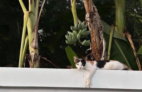 Kamphaeng Phet Hotel | Hin Sai resortel