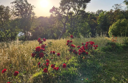 Gunehr RV Rental | Hipostel Bir - Stay and Cafe