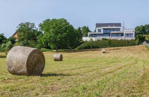 Brezice Villa | HIRUNDO- villa with saunas and hot tub