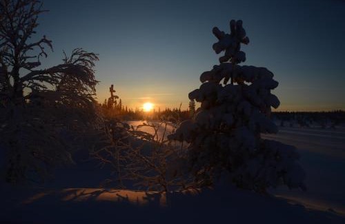 Ljordal Apartment | Hjørnet - Fulufjellets nasjonalparker - snø - alpint - langrenn - snøscooter