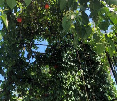 Tuy An Hotel | Hoàng Ngọc's House