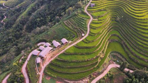 Thong Nguyen Bed & Breakfast | Hoàng Su Phì - Móng Ngựa Homestay