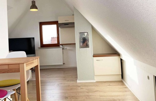 Wendlingen am Neckar Apartment | HÖ01 large apartment with dryer and washing machine