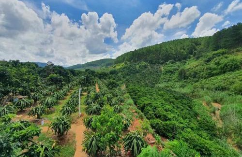 Da Lat House | Hoa Sơn Điền Viên Homestay