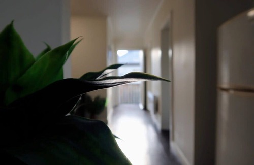Hobart Central Business District Cottage | Hobart City Oasis with 3 beds