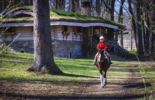 Spissky Stiavnik Apartment | Hobití dom