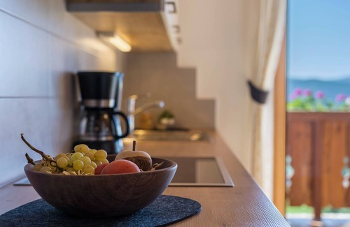 Fie allo Sciliar Apartment | Holiday Apartment 'Mongaduierhof Apt Schlern' with Mountain View, Shared Garden & Wi-Fi