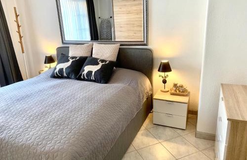 Meierhof Apartment | Holiday Apartment Gian - close to the Kongresshaus, the ice hockey stadium, cross-country skiing, the Eau-la-la indoor pool and wellness, large supermarket, 2 bus stops, with an indoor garage and fully equipped