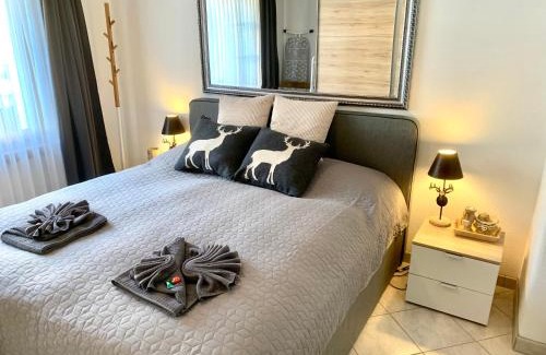 Meierhof Apartment | Holiday Apartment Gian - close to the Kongresshaus, the ice hockey stadium, cross-country skiing, the Eau-la-la indoor pool and wellness, large supermarket, 2 bus stops, with an indoor garage and fully equipped