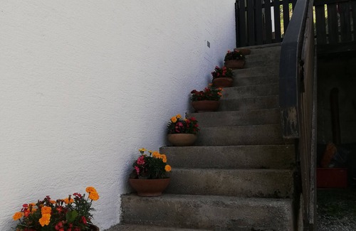 Danta di Cadore Apartment | Holiday Apartment "Natura E Comfort" with Mountain View and Private Terrace