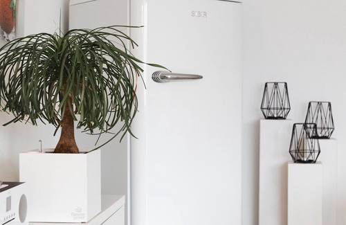 Orselina Apartment | Holiday apartment Orselina for 1 - 4 persons with 1 bedroom - Holiday apartment in one or multi-fami