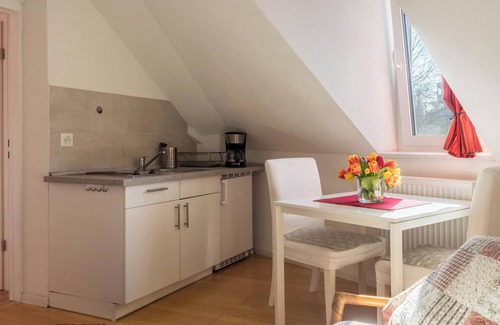 Kreuzlingen Apartment | Holiday Apartment "Room with Kitchenette Kletterrose" near the Old Town Center