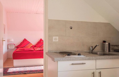 Kreuzlingen Apartment | Holiday Apartment "Room with Kitchenette Kletterrose" near the Old Town Center