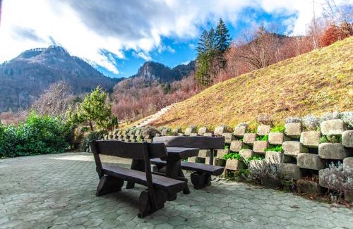 Bohinjska Bela Ski Chalet | Holiday Chalet near Bled