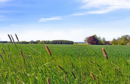 Akirkeby House | Holiday Home Agny - 2-2km from the sea by Interhome