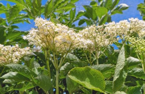 Vang House | Holiday Home Eliene - 400m from the sea by Interhome