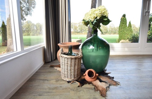 Reutum House | Holiday Home in Reutum with Bubble Bath
