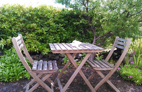 Prainha House | Holiday home in Praínha, Pico, Azores