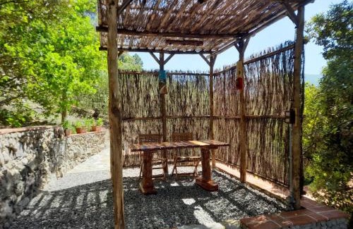 Castellina Marittima House | Holiday Home Home Relax by Interhome