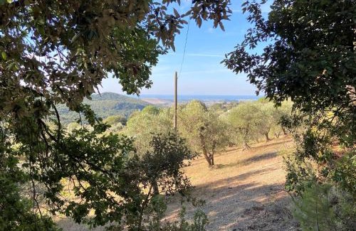 Castellina Marittima House | Holiday Home Home Relax by Interhome