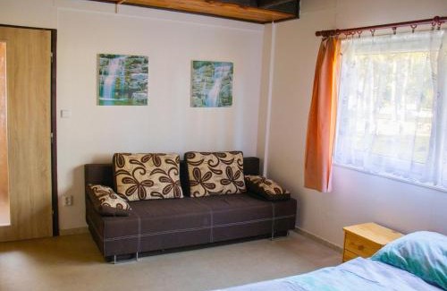 Hradec Kralove House | Holiday Home Kemp Stříbrný rybník-10 by Interhome