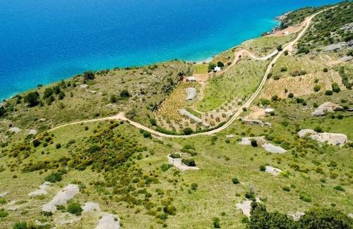Bol House | Holiday house Smokovlje - sea view and vineyard - Bol, Island Brac, Croatia