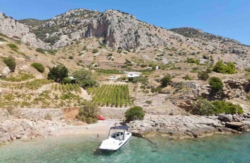 Bol House | Holiday house Smokovlje - sea view and vineyard - Bol, Island Brac, Croatia