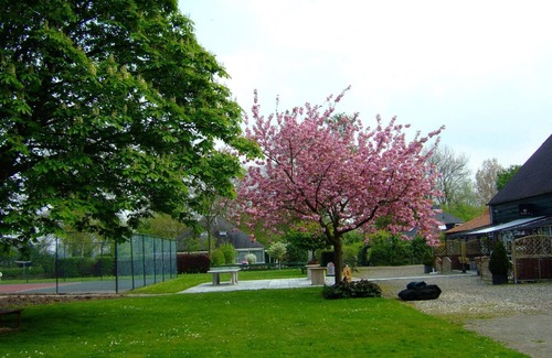 Stavenisse House | Holiday house Stavenisse for 1 - 4 persons with 2 bedrooms - Row house