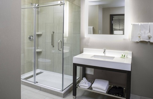 Countryside Hotel | Holiday Inn Chicago SW-Countryside ConfCtr by IHG